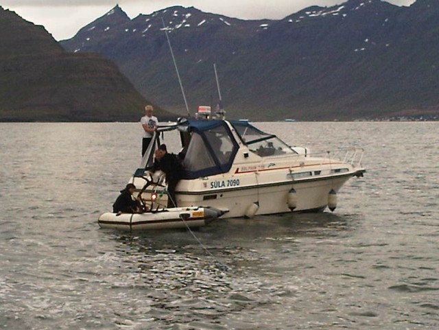 Aflinn á handfærin klikkar aldrei undir Barðsnesinu.