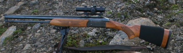 Red dot Halli 12/222