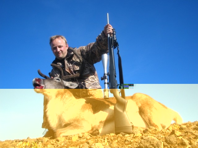Andrés með veiðina og Mannlicherinn og Zeiss Qonquest 6,5-20 sjónaukann.