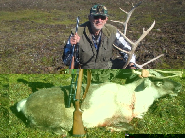 Axel með tarfinn 50 árum eftir að hann kom fyrst upp í Flatarheiðina.