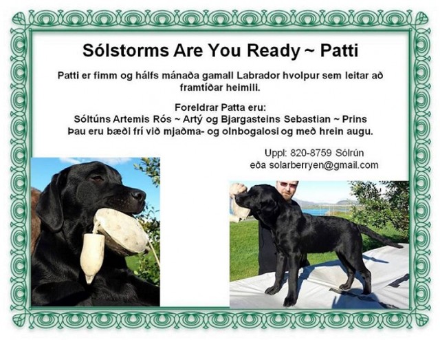 patti2.jpg