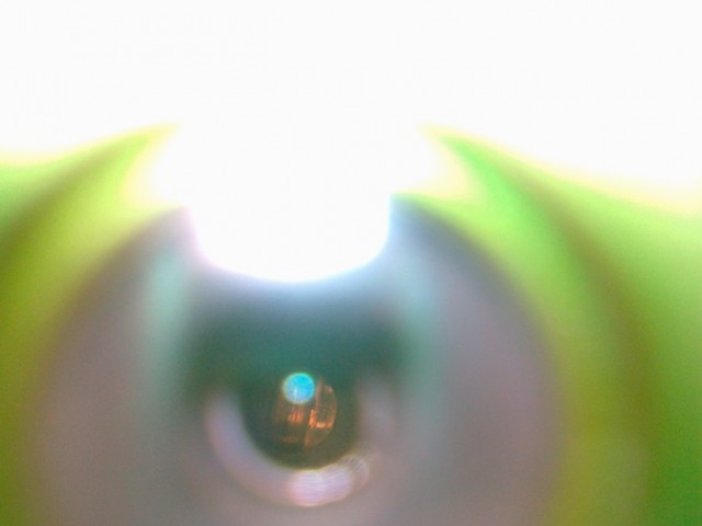 01022014784.jpg