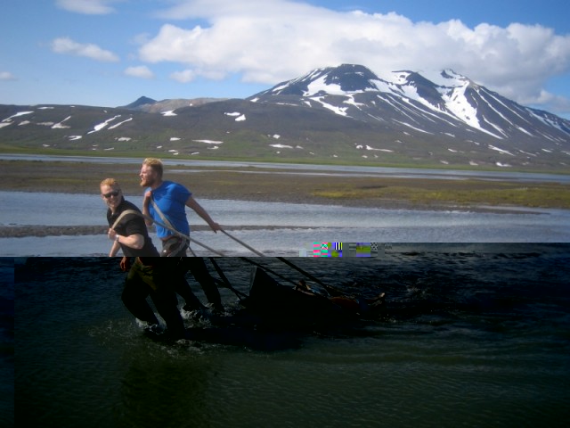 Það var gott að geta dregið tarfinn eftir vatninu áleiðis að slóðinni.  Eyvindur er þessi á bláa bolnum, einbeittur eins og Fjalla Eyvindur frændi hans að vestan.