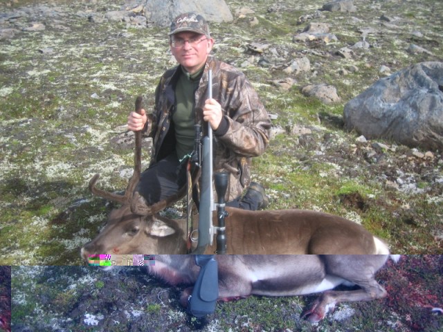 Árni roggin með kúna.
