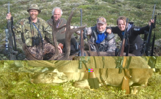 Breiðsíða leiðsögumanna og veiðimanna við tarf Brynjars, undirritaður, Bjarni, Brynjar og Almar.