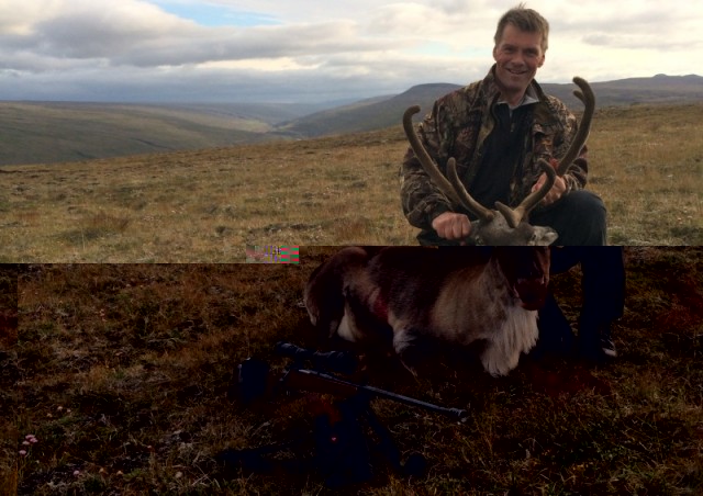Svona lítur 62 kg. kú út, Úlfar kampakátur með metkúna.