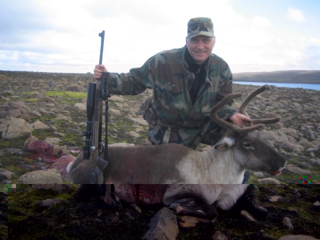 Sveinn Aðalsteinsson félagi okkar hér á spjallinu með væna gelda kú.