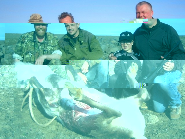 Hér eru þeir við tarf  sem Skarphéðinn Smári Þórhallson felldi. Talið frá vinstri guid number one, guid number two og Skarphéðinn með son sinn efnilegan veiðimann.