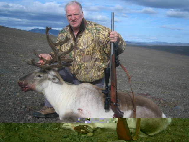 Karl Rósenkjær við sína 55 kg. kú.