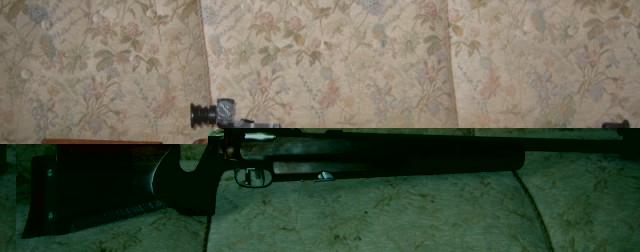 Húnbogi, Krico cal. 22