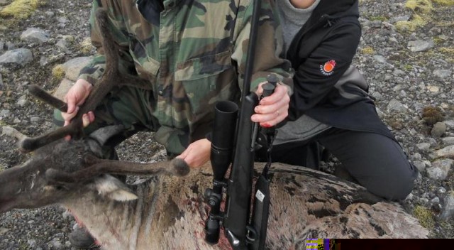 camo3.jpg