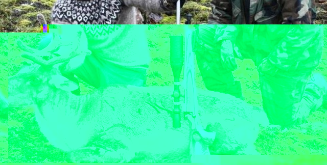 camo4.jpg
