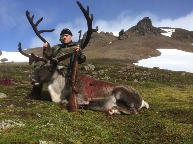 Steinarr við fallinn tarfinn.
