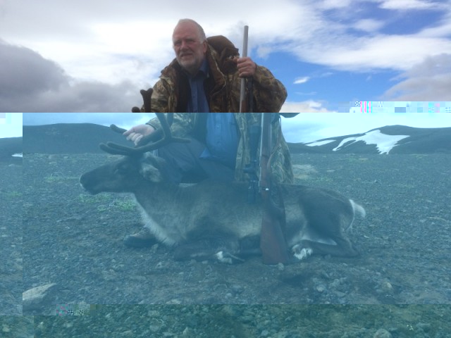 Karl Ingi Rósenkjær við væna kusu.