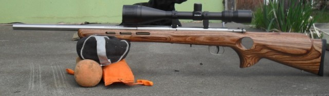 Savage varmint 93R17BTVS - Gisminn2