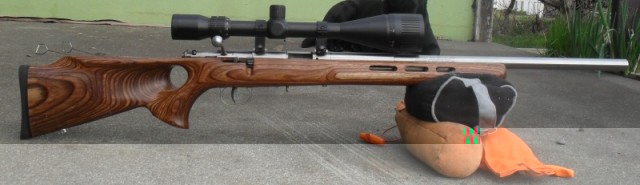 Savage varmint 93R17BTVS - Gisminn1