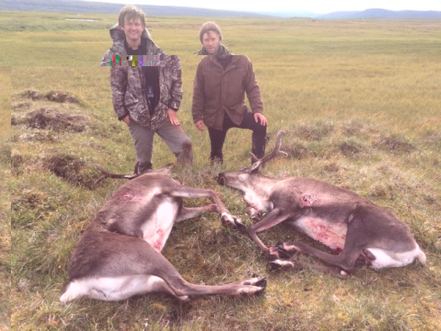 Það er fagurt á fjöllum þegar vel veiðist, Pétur og Uggi standa yfir bráð.