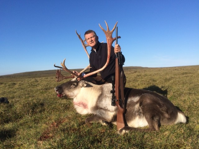 Garðar viið tarfinn, sem var þokkalega hornprúður.