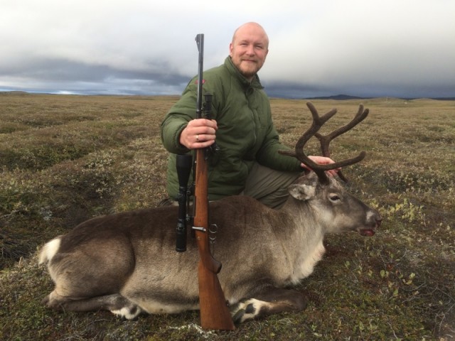 Daði með kúna sína sem dó úr hausverk.