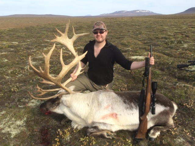 Davið með tarfinn, hornprúðann í meira lagi.