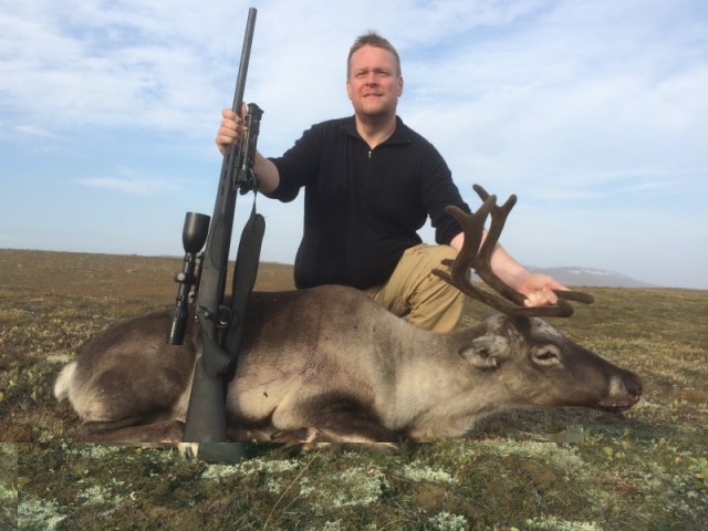 Guðmundur við kú sína.