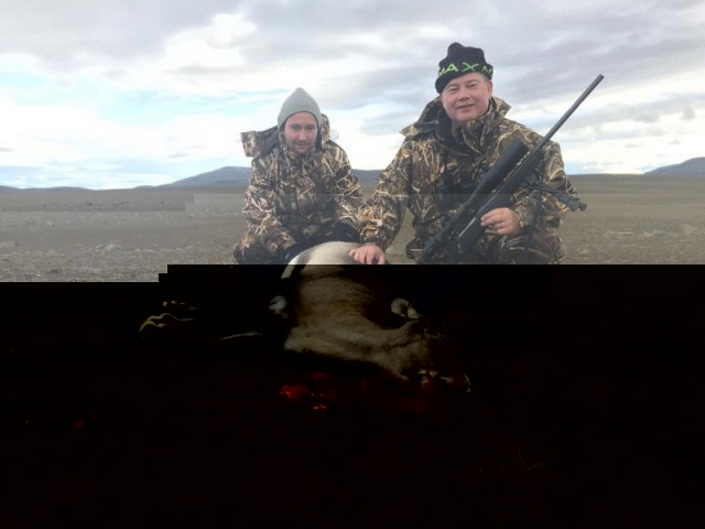 Grímur og Jón Ingi með kúna