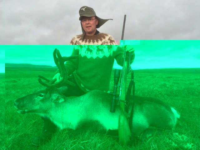 Sindri kampakátur með húfuna góðu og nýfellda kúna.
