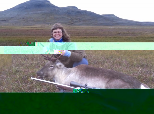 Gréta systir með kúna og Rösslerinn 6,5-284 nattlega.