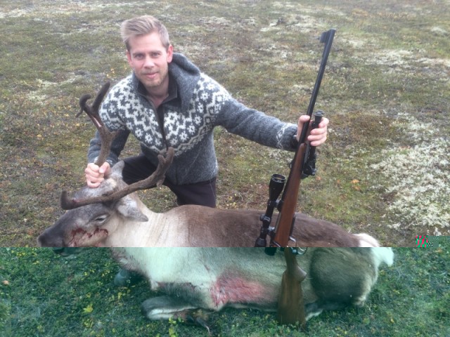 Bjarni með kúna og riffilinn.