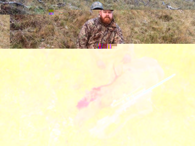 Já, kýrin sem Aðalsteinn veiddi fékk hrikalegan hausverk, en fann samt aldrei fyrir honum.