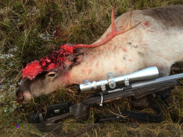 Svona lítur græjan cirka út.