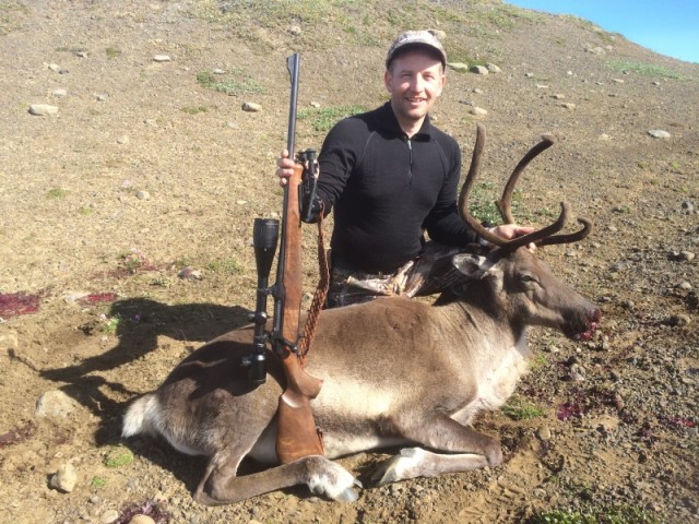 Hallgrímur Hallsson með fyrstu kúna sem hann hefur  fellt svo árum skiptir.