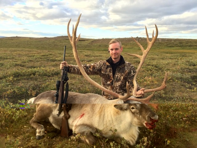 Steinar Árni með tarfinn sinn..