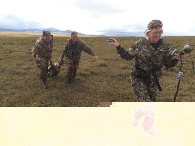Unnur Pálína gópró myndaði þá feðga, Birgi og Samúel, við að draga dýrið í bílinn.