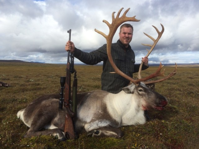 Ingvar við tarfinn í Tunguheiðinni við Fríðuána.