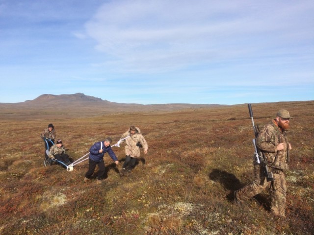 Gísli ásamt aðstoðarmönnum á leið að hjörðinni.