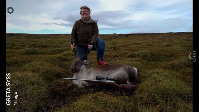 Gréta við kúna á spariskónum.