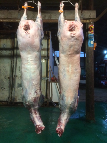 Veiði dagsins á krókunum, 50 kg. mylk og 56 kg. geld.