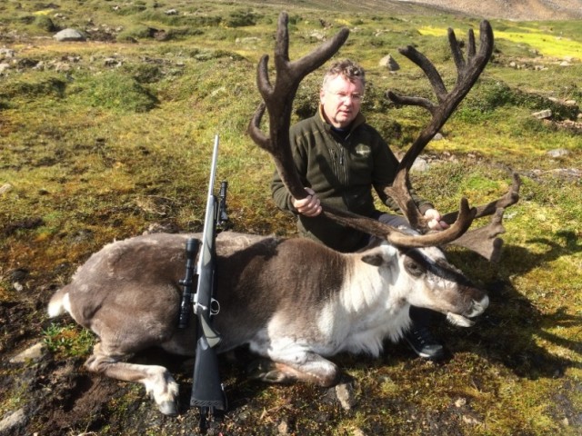 Jákúp við tarfinn.