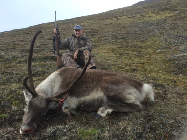 Örvar við tarfinn í hlíðum Hafursfells.