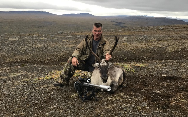 Úlfar við kúna.