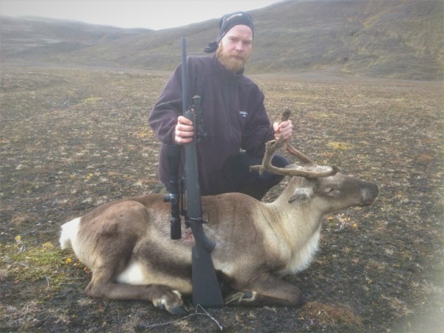 Hálfdán með kúna.