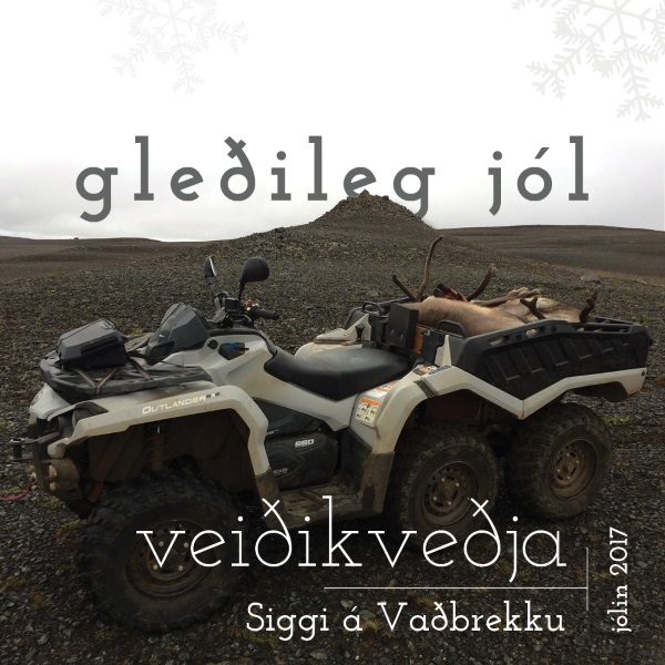 Nýi veiðifákurinn tilbúinn til heimferðar við Djöflamel með vörðutyppi, á Vaðbrekkuhálsi.