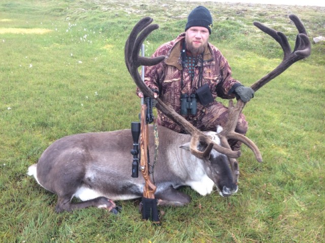Hann var vænn tarfurinn sem felldur var á Viðvíkururðunum, 108 kg.