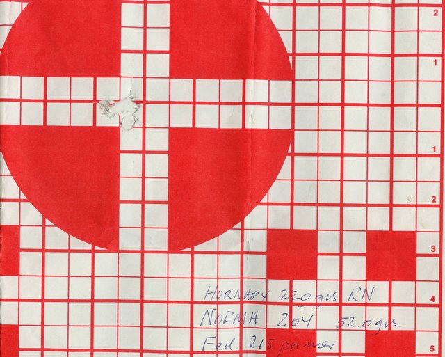 Hornady RN 220 grs. .30-06, 100 m