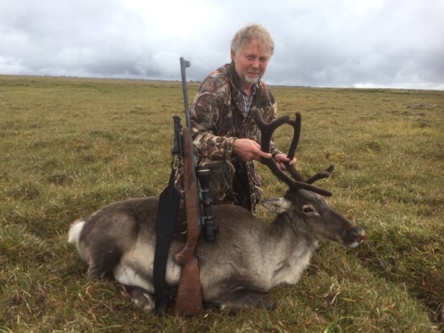 Guðmundur með kúna á fellistað.