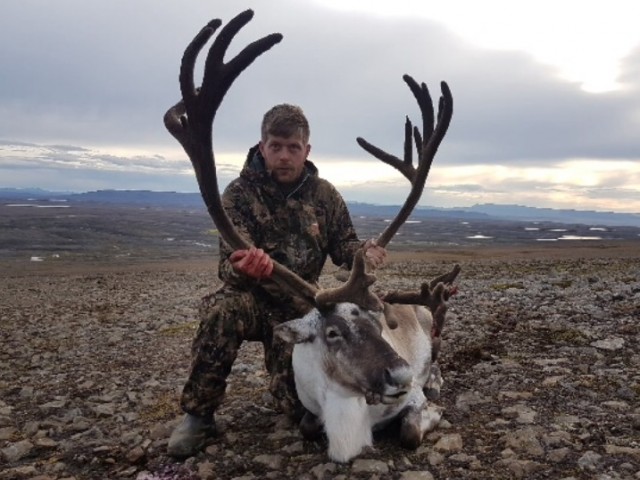 Sveinbjörn með hornprúðan tarfinn.