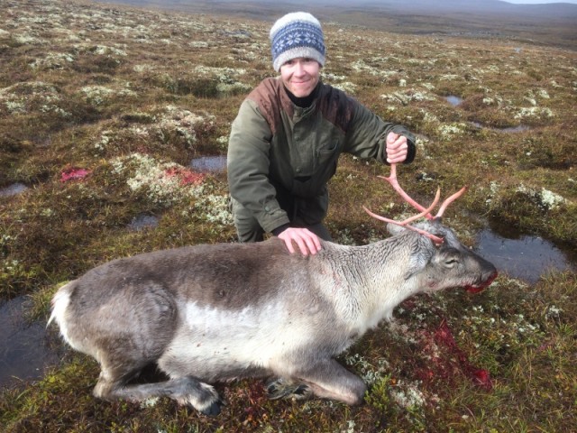 Bjarki Auðbergs við sína kú.