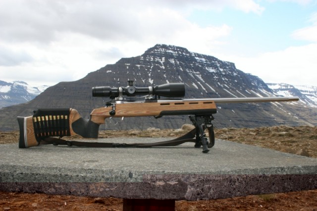 Vopnið með Hólmatind í baksýn