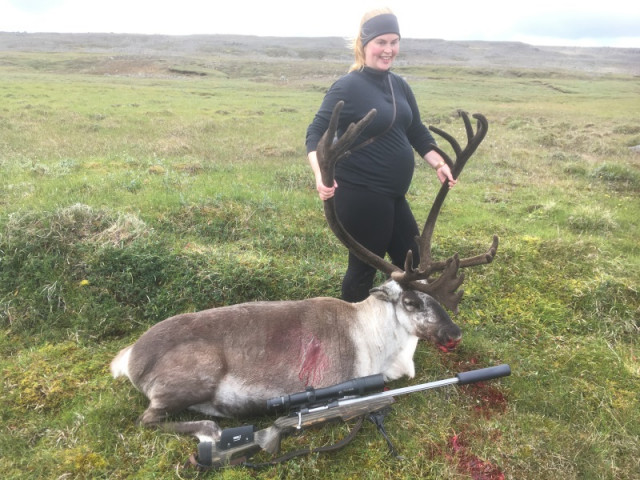Guðbjörg við tarfinn.